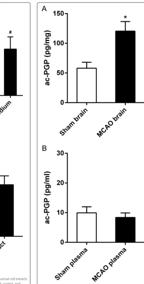 Fig. 4 Detection of ac-PGP in culture medium and neuronal cell extractsafter OGD. Ac-PGP was detected by LC-MS in a unused, control, andOGD culture medium and b whole-cell extracts of control cells or cellsafter 2-h OGD and 24-h reoxygenation