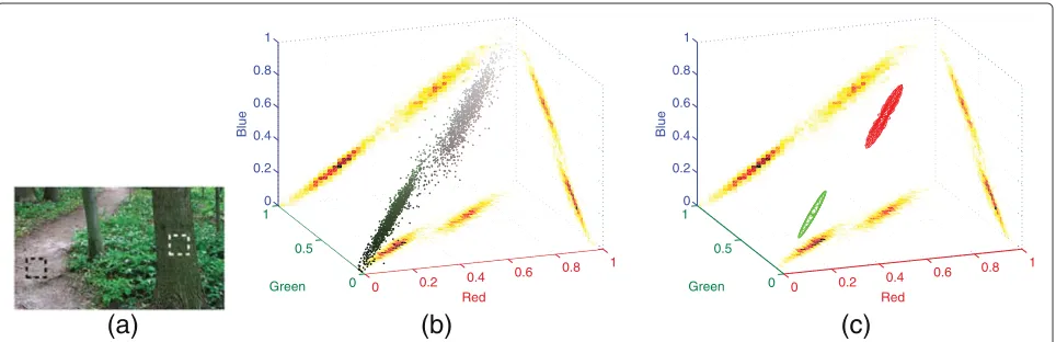 Figure 1 Color ellipsoids in clear natural scene. (a) Clear day scene with a sample window over the tree trunk (white rectangle) and a windowover the road (black rectangle)