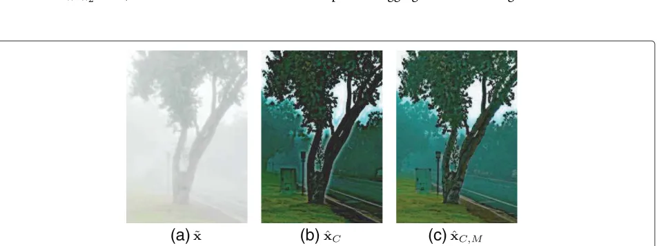 Figure 4 Example of the halo effect. (a) Original image. (b) Enhanced image using centroid prior with simple averaging