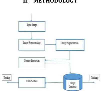 Figure 2 shows the disease images in JPEG format. 