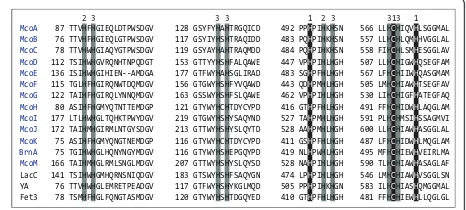Figure 1 Sequence alignment of the four copper-binding sitesin the 13 A. niger ATCC 1015 MCOs with N