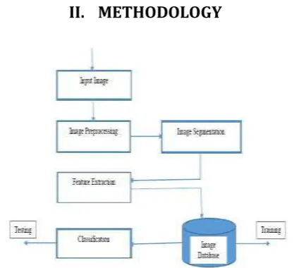 Fig. (a) shows the disease images in JPEG format. 