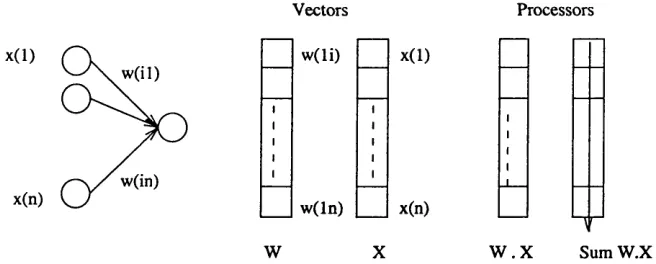 Figure 3.3 - mapped onto a column (or row) of processors. Each processor multiplies its weightvectors of the state of the neurons each connection originates from xj respectively form twoTo exploit the intra-neuron parallelism, the connection weights of a n