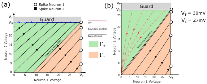 Fig. 3 (a) State trajectories for selective spiking of Neuron 1 under Case 1 for several initial conditions.