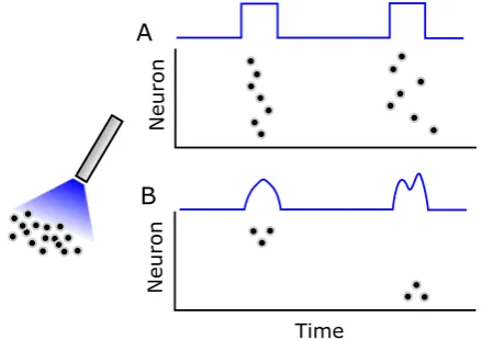 Fig. 1 Underactuated neurocontrol schema. Most neurostimulation modalities are underactuated, whereinsuch stimulation has historically been limited to perturbative paradigms, wherein pulse-type inputs are usedto create bulk population responses without ﬁne