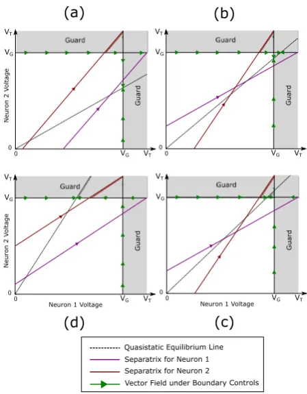 Fig. 9 Representation of the solution space with respect to the quasistatic equilibrium line.Neuron 1 satisﬁes Case 1 i.e