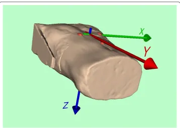 Figure 5 Coordinate system. Origin at the middle between the upper two pills.