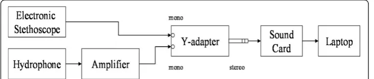 Figure 1 Flow chart of the experimental setup for the data gathering.