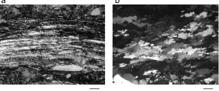 Fig. 3.Microstructure of the fault rocks from the Hatagawa Fault Zone. (a) Quartz microstructure of mylonite with microstructure A
