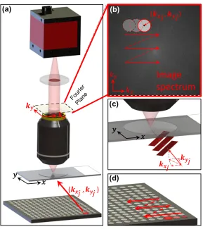 Figure 4.1: FPM setup for quantitative phase measurement (ﬁgure adapted from [33]). (a) The fullsetup, (b) diagram of capture at the aperture plane, (c) close up of plane wave illumination and (d)LED scanning.