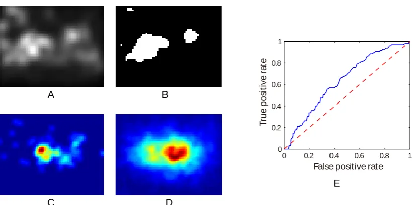 Figure 2.10: An illustration of the AUC computation on the ﬁrst image in Fig. 2.9. A. The saliencymap generated by Lab-Signature algorithm