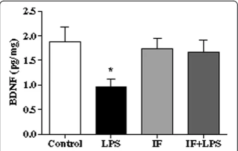 Figure 6 Intermittent fasting (IF) prevents lipopolysaccharide(LPS)-induced depletion of hippocampal brain-derivedneurotrophic factor (BDNF)