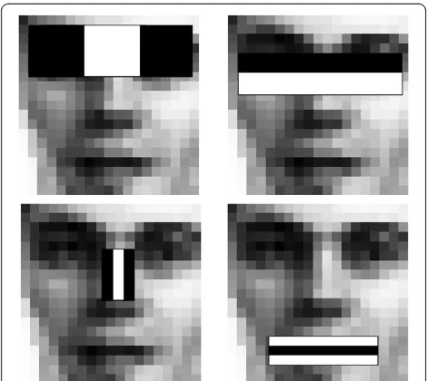Figure 2 Human face in a detection window. (a) Light source is near the front. (b) Light source is approximately lateral.