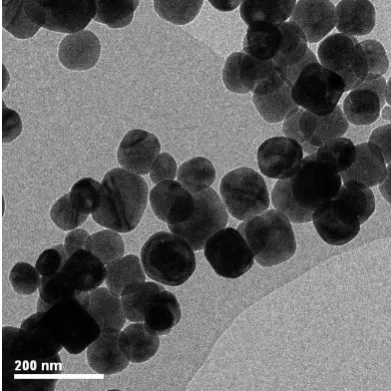 Fig. 2-2 SEM image of BaTiO3 nanoparticles 