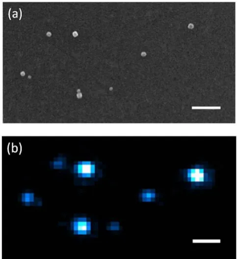 Fig. 2-6 Power dependence of the SHG signal from BaTiO3 nanoparticles in double logarithmic scale
