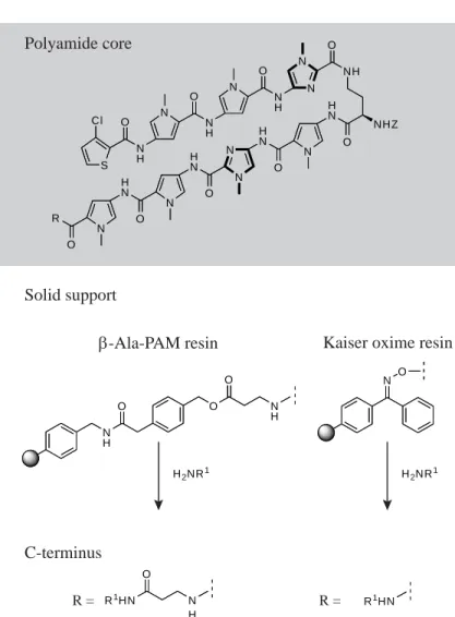 Figure 1.6.  Synthesis of polyamides on solid support.   β-Ala-PAM resin and Kaiser oxime 