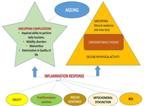 Figure 1. Complications and inflammation response in 