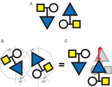 Figure 2-7.  Translational equivalence.  For any dimeric conformation obtained by rotational manipulations around the symmetry axis, the same conformation can be obtained by translational moves along the axes perpendicular to the symmetry axis