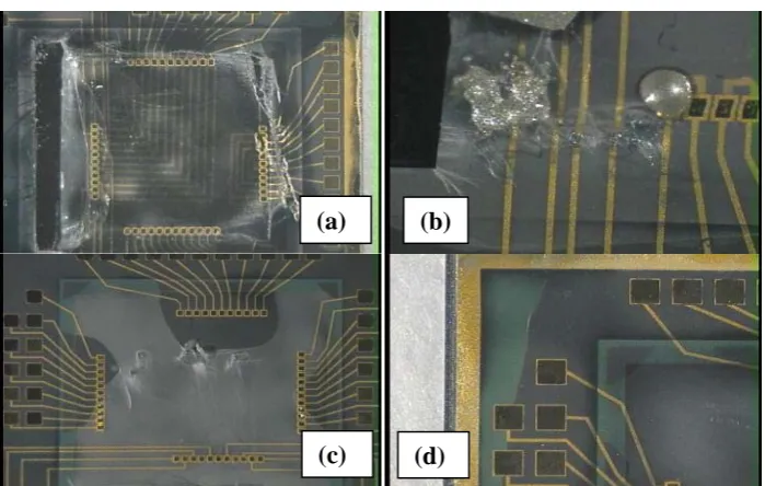 Figure 2.4. The first-generation parylene pocket with one opening on the side; all bonding pads are located on the chip