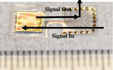 Figure 2.11. Parylene pocket-only structure. It is used to test the amplifier chip after  bonding