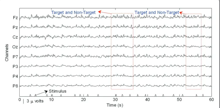 Figure 8 Extracted P300 components in real time (350 ms ISI). For the ISI of about 350 ms, the targetand non-target amplitudes were clearer and easier to distinguish than for the other ISI.