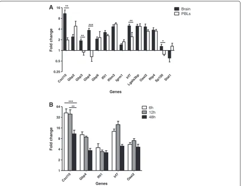 Figure 2 ISG induction in the brain and blood of LPS-treated mice. (A) Relative expression of ISGs in the brain and PBLs, 48 hours afterLPS injection (100 μg i.p.) compared with vehicle injection