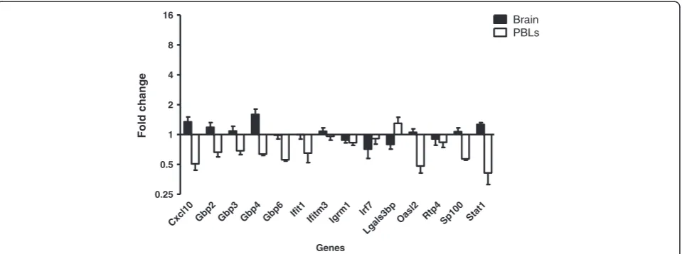 Figure 3 Response in the brain to systemic administration of TNF.24 hours and relative expression of interferon-stimulated genes (ISGs) in the brain and peripheral blood leucocytes (PBLs) was determined 48hours after initial injection