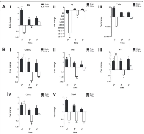 Figure 4 ISG induction in the brain and PBL of mice treated daily with LPS.Relative gene expression in the brains and PBLs of mice, 2, 5 and 7 days following initial injection.Il6 and (iii) Tnfa