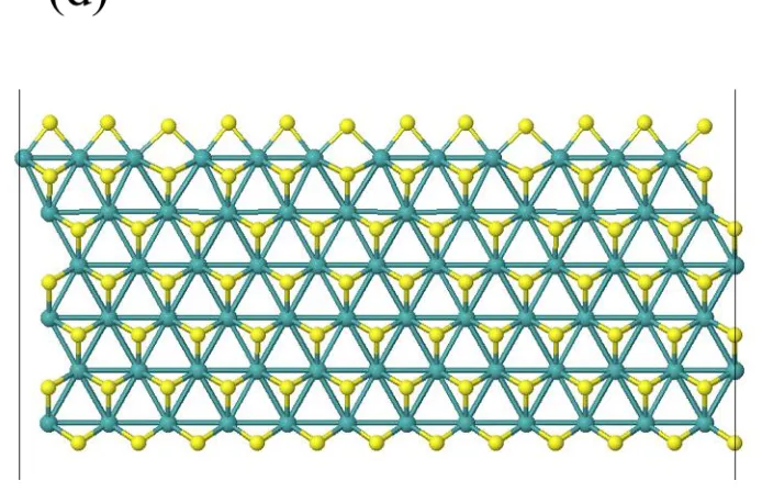 Figure 1. (a) Top view of the 2D MoS2 sheet. The two horizontal dashed lines indicate terminations along the (101̅0) Mo-edge and (1̅010) S-edge