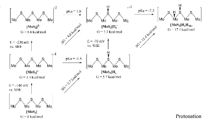 Figure 3. Thermodynamics (free energies at 298K, pH=0, and E=0V vs. SHE) for the most stable configurations as a function of the number of protons and electrons added