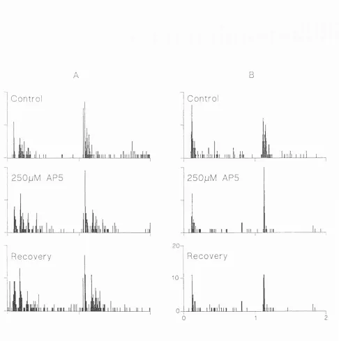 Figure 5.3. T he effect of APS on PSTHs constructed from  the visually evoked extracellular 