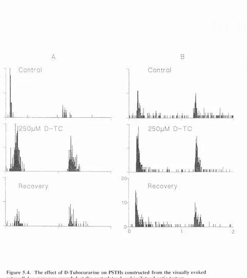 Figure 5.4. T h e efTect of D -T u bo curarin e on PSTH s constructed from  the visually evoked 