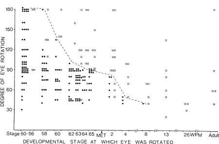 Figure 1.4. The age-dependent response of the intertectal system to eye rotations of different 