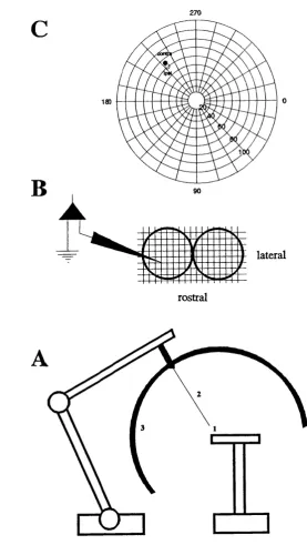 Figure 2.1 A,B & C. Electrophysiological mapping of topographic representations of visual space in the frog optic tectum.A, the animal is placed at the centre of an Air-mark perimeter (1)