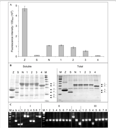 Figure 4 Representative results of library screening and sub-cloning experimentsstandard deviation of a triplicate experiment) of the clones indicated on the × axis were determined as described in Methods