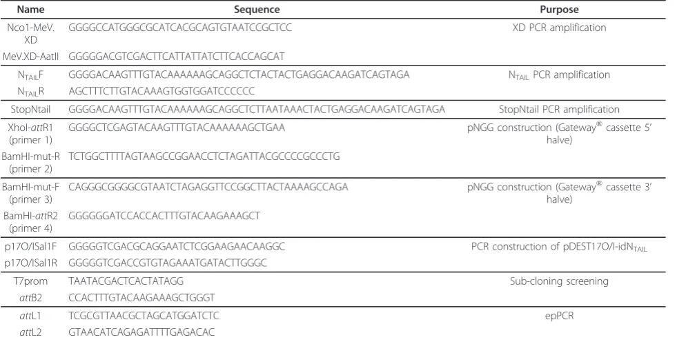 Table 6 Primers used in this study