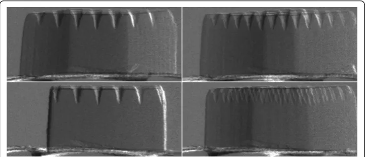 Figure 4 The Radiographs collected from the Diffraction enhanced X-ray imaging system indifferent rotate angles.