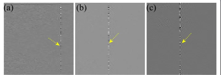 Figure 2 Drawbacks of the wavelet-Fourier method. (a-c) Magnified image view of the coefficients ofthe horizontal, diagonal and filtered (Fourier) vertical detail bands, respectively