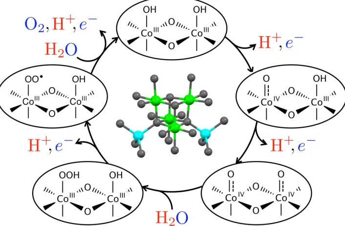 Figure 1.10. Possible mechanism of cobalt oxide catalyzed water oxidation. The Co3O4 structure232 is depicted in the center; colors: CoII (cyan), CoIII (green), O (gray)