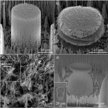 Figure 2.2: Summary of issues facing FIB milled pillars. a) A FIB milled pillar before com-pression