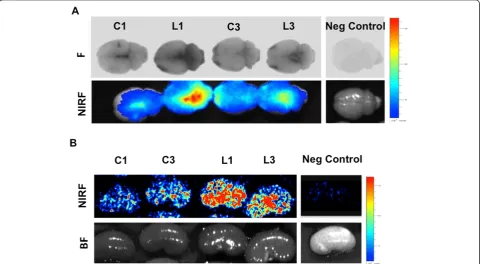 Figure 2 Determination of plasminogen in rat plasma, cerebrospinal fluid and urine. Samples were obtained from rats challenged with