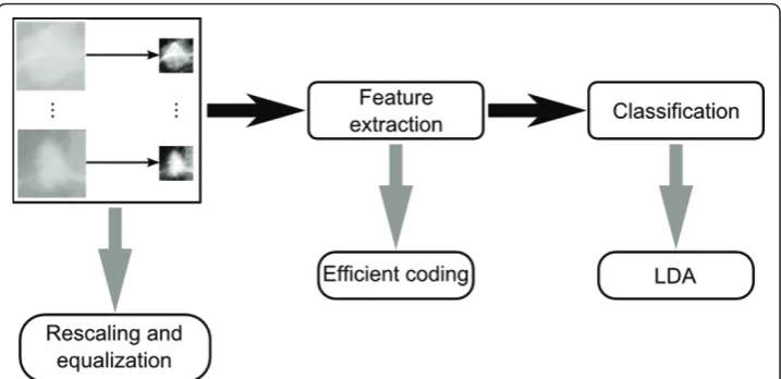 Figure 1 Methodology. Proposed Methodology based in three steps: Image acquisition, feature extractionand classification.