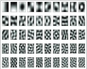 Figure 3 ICA basis. The 50 filters generated by the model of efficient coding.