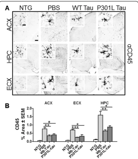 Figure 5 Reduced activated microglia burden followingimmunization with wild-type (WT)- or P301L-tau proteins