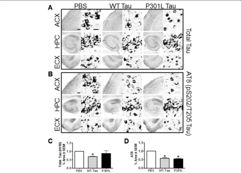Figure 7 Vaccination with wild-type (WT)- or P301L-tau proteins reduced tau pathology