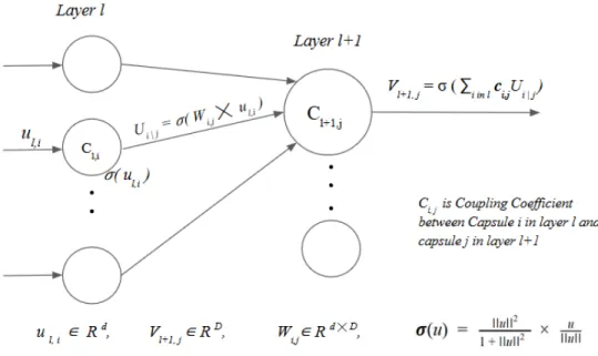 Figure 2.1: Schematic Representation of the Capsules
