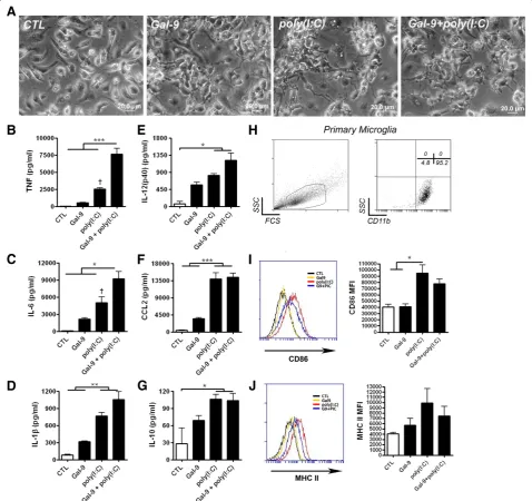 Figure 4 Recombinant galectin-9 synergizes microglial TNF and IL-6 production. (A)triplicate samples and are representative of three independent experiments