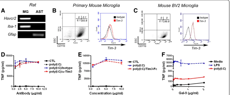 Figure 5 Tim-3 is not required for the effects of galectin-9 on microglial cytokine production