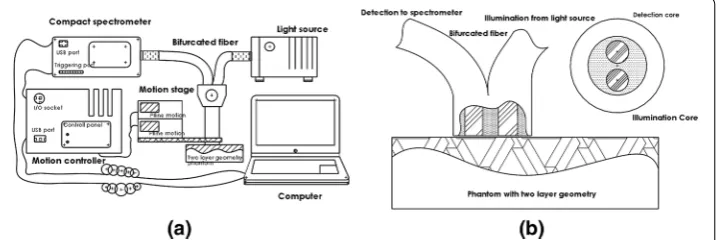 Fig. 1 fibre as off-axis module; the motorized stages as scanning module; and a spectrometer as detection module