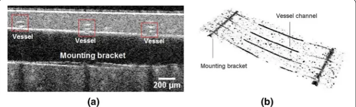 Fig. 3 channels, the cross section of the vessel channels area OCT B-scan image of the cross section passing along a mounting bracket across the the vessel  circled by red rectangular